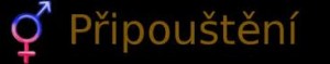 pripousteni.jpg